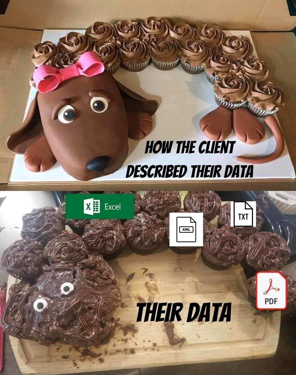 This meme is a humorous comparison between a client's description of a dataset and the actual data itself. The top image shows a beautifully crafted cake in the shape of a dog, with the text "How the client described their data". The bottom image shows a messy, unorganized pile of data with various file types, including a spreadsheet, a text file, an XML file, and a PDF, with the text "Their data". The meme pokes fun at the discrepancy between a client's idealized description of a dataset and the actual, messy reality of working with data.